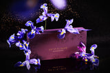 [BPCXTRA] Shin Hifu-Line Essence X Pack